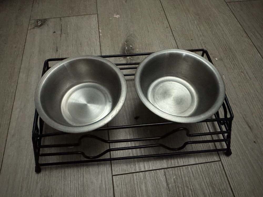 Vibrant Life Elevated Dog Cat Metal Diner with Stainless Steel Bowls